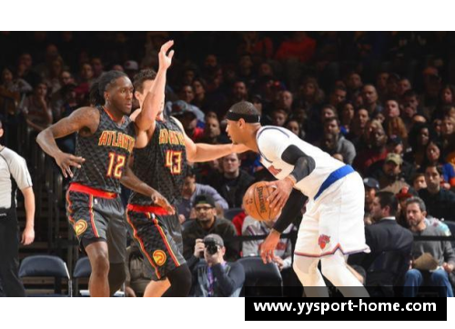 NBA老鹰：阵容变动与赛季策略，球队前景展望