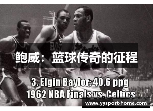 鲍威：篮球传奇的征程